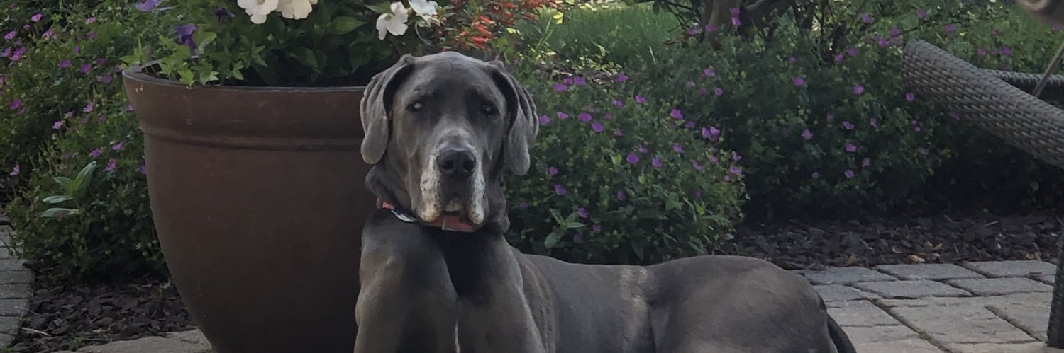 scanny3827's profile banner image