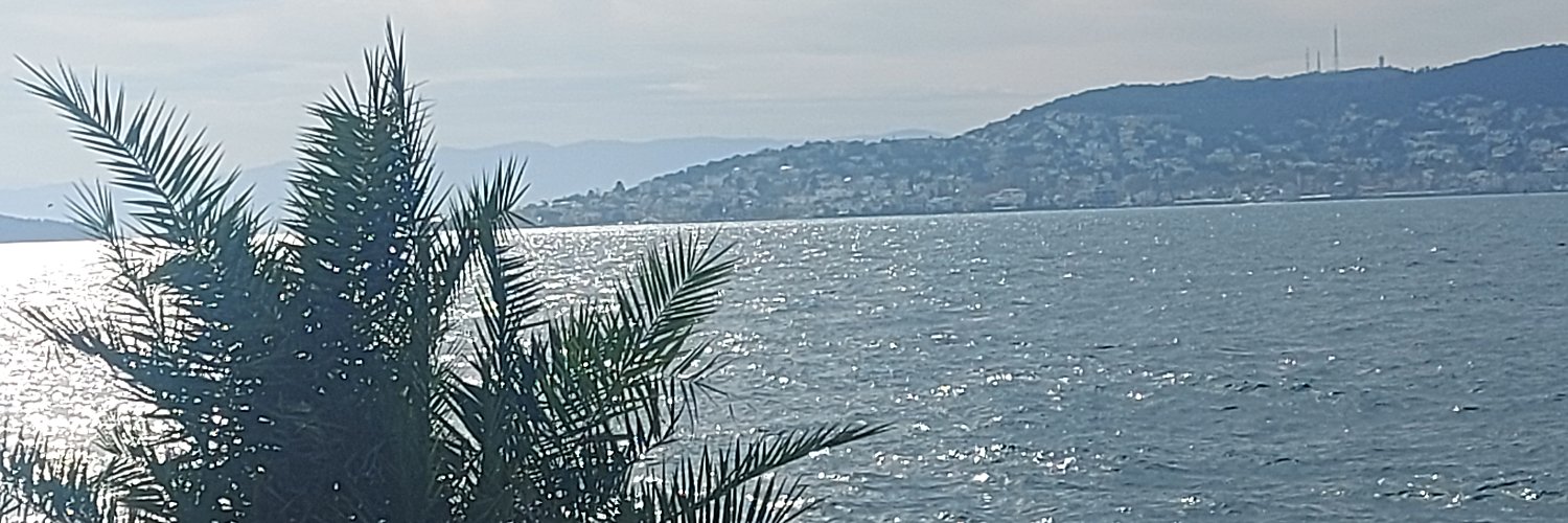 Balıkçı Kral banner