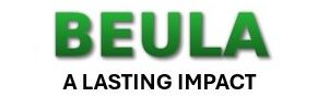 Beula Group banner