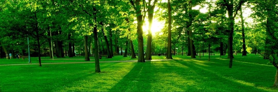 George Okumu Omollo banner