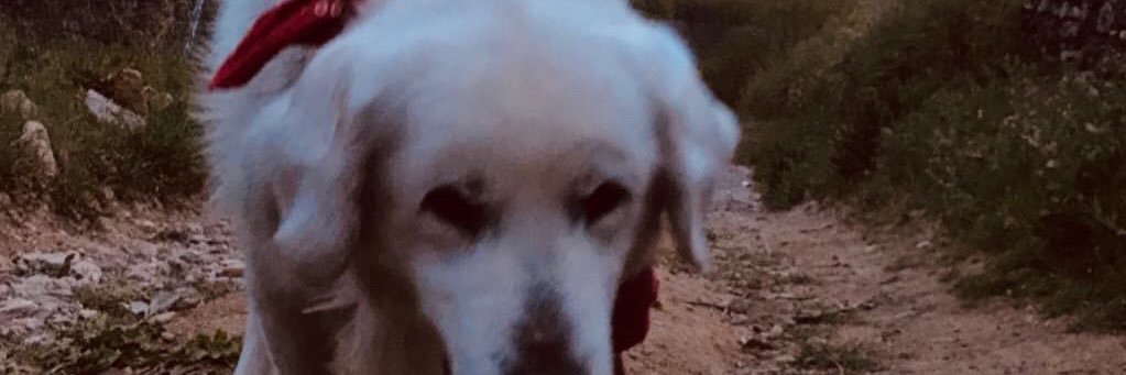 evapaule_'s profile banner image