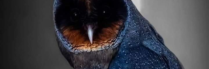 Abdul777J's profile banner image