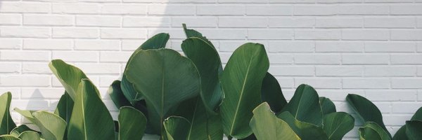 monhevdw Profile Banner