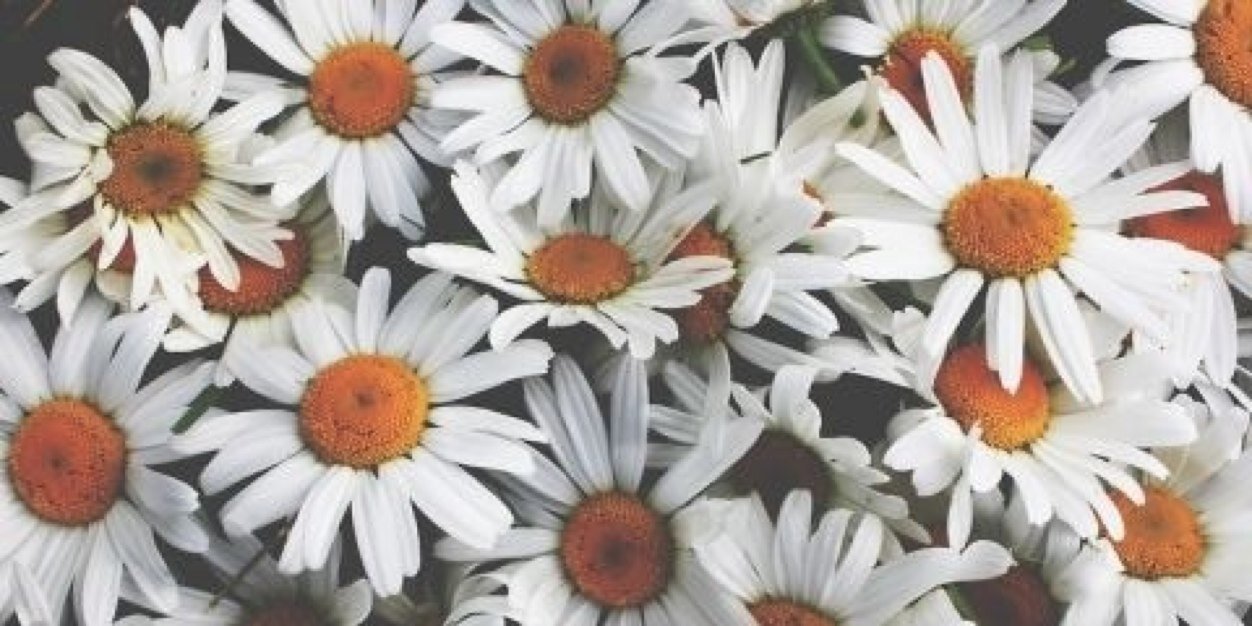 angiegee_'s profile banner image