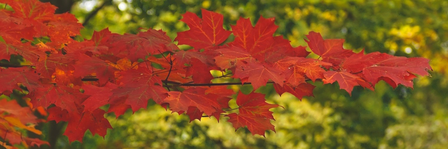 AshuObserver's profile banner image