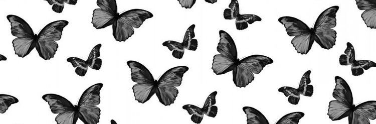lileers's profile banner image