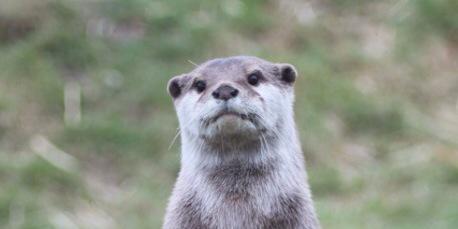 wiotter's profile banner image