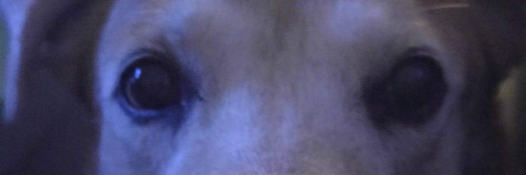 JackWilliams132's profile banner image