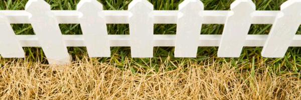 SubodhBalak Profile Banner