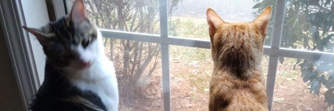 miraclekay97's profile banner image