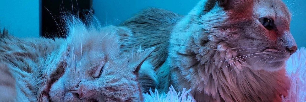 clamanity's profile banner image