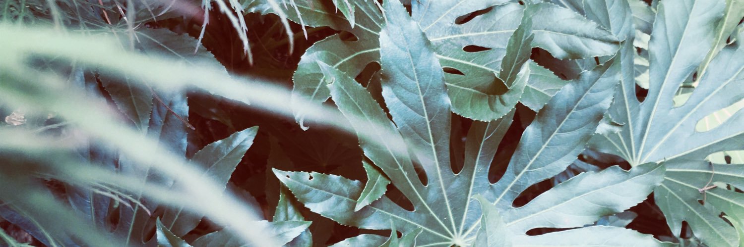 BrookeChat's profile banner image