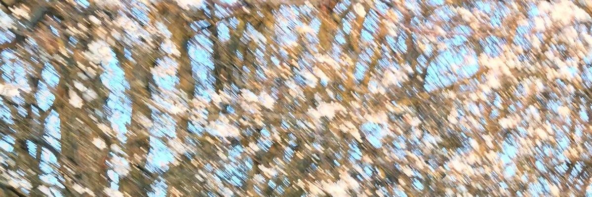 bierwaldpark's profile banner image