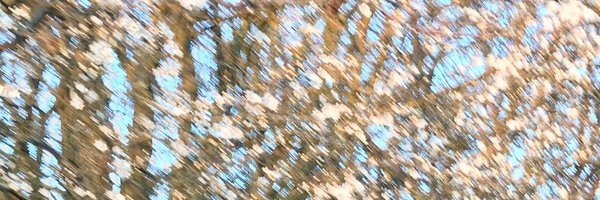 bierwaldpark Profile Banner