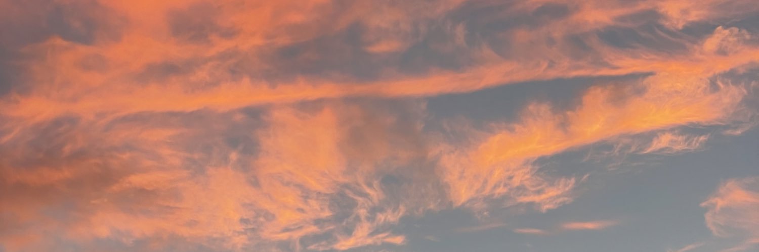 _sh4r0n's profile banner image