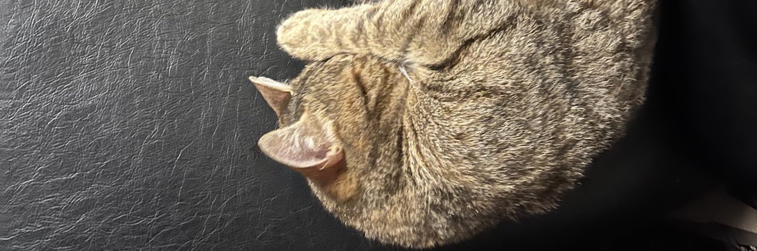 andrejluuc's profile banner image