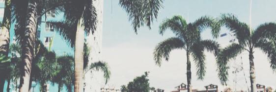 knickolerosel's profile banner image