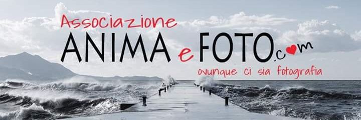 animaefoto's profile banner image