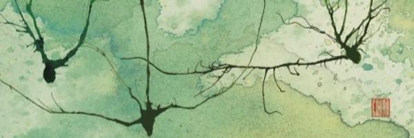 Ellorebo Profile Banner