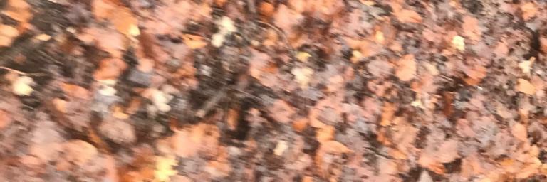 mitcju's profile banner image