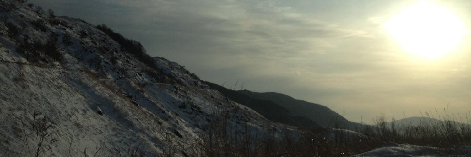 syurry216's profile banner image