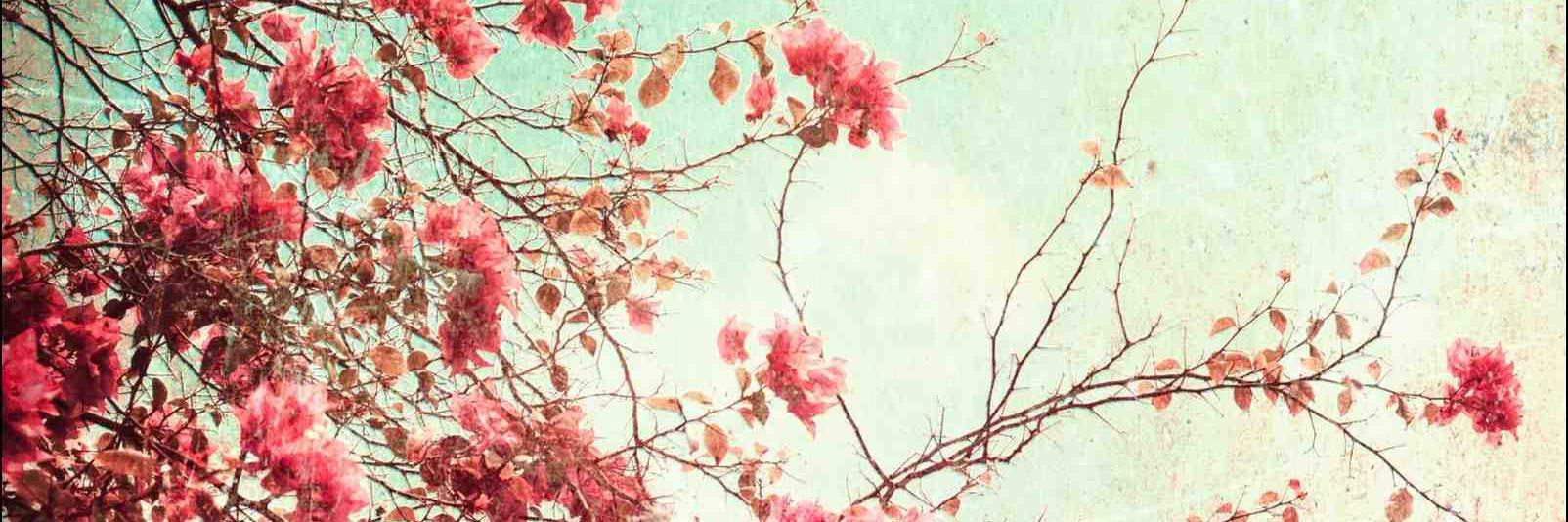 AshleyD_AW's profile banner image