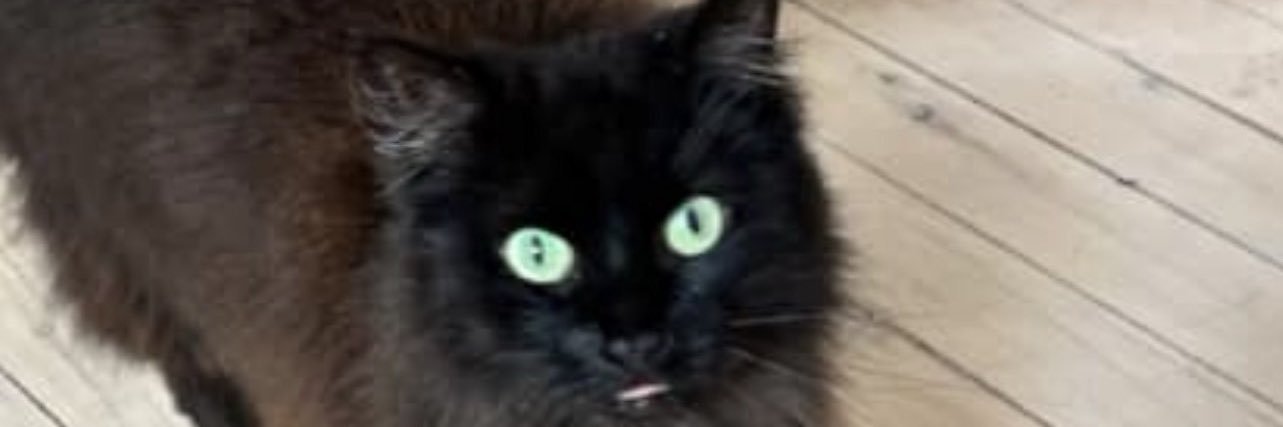 kevvvszn's profile banner image