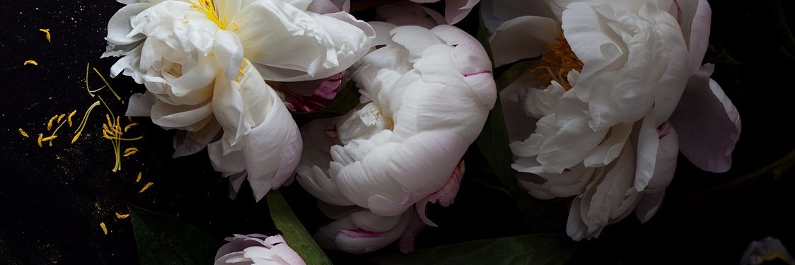 ermargahd's profile banner image