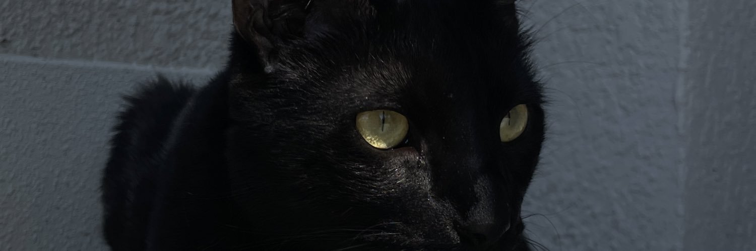 DestiniWashing1's profile banner image
