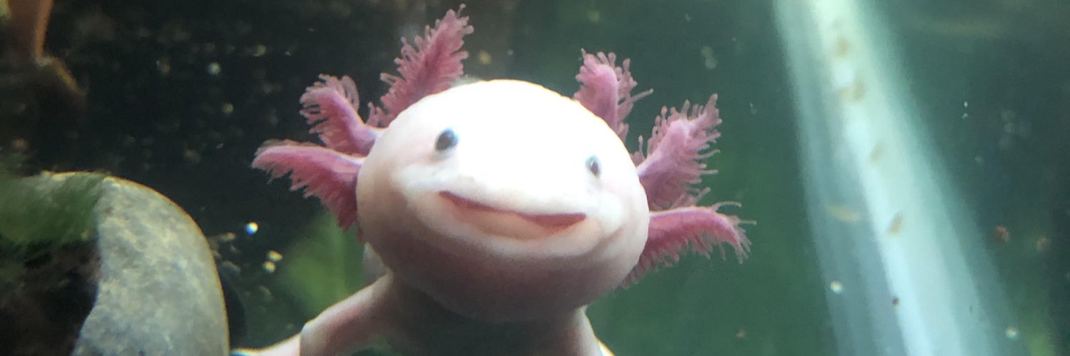 adism1999's profile banner image
