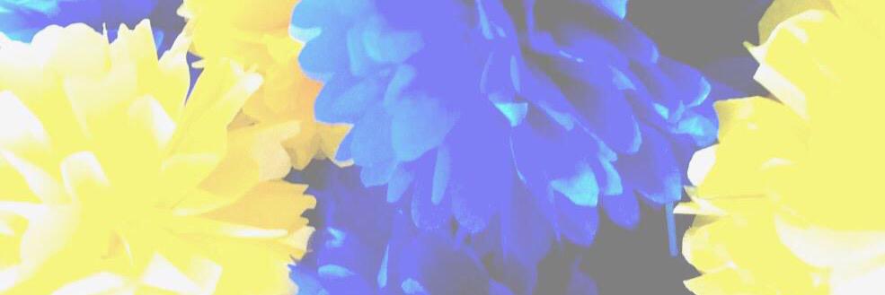 IshyCollinsNL's profile banner image