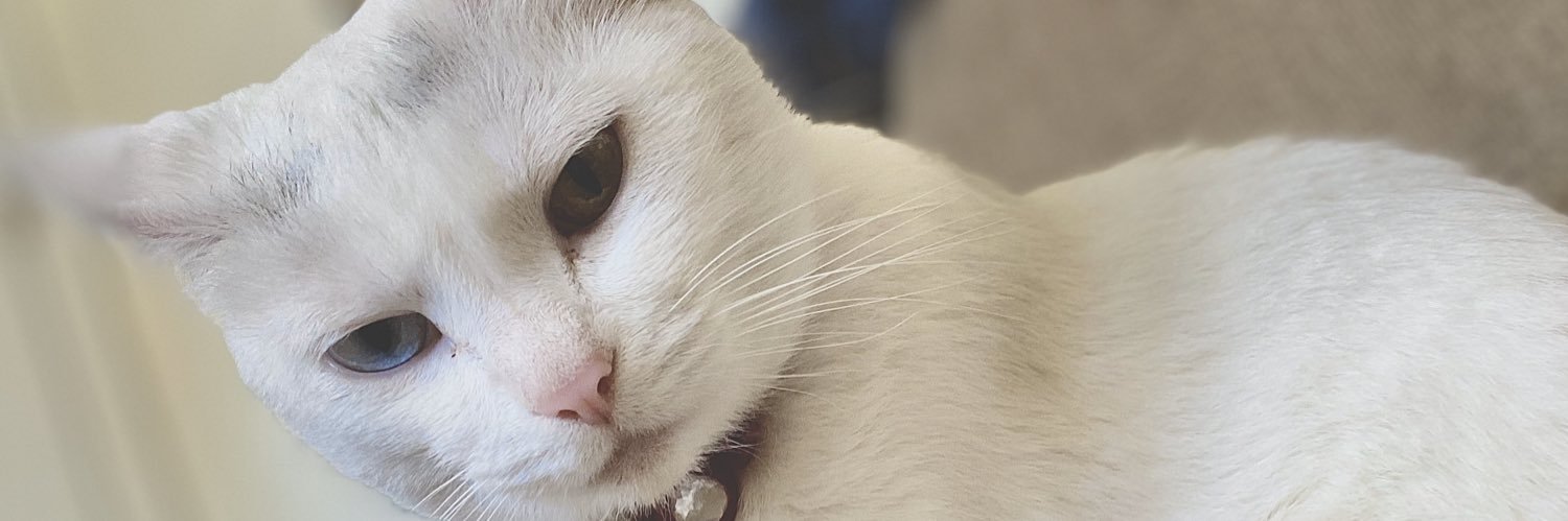 augustine_jojo's profile banner image