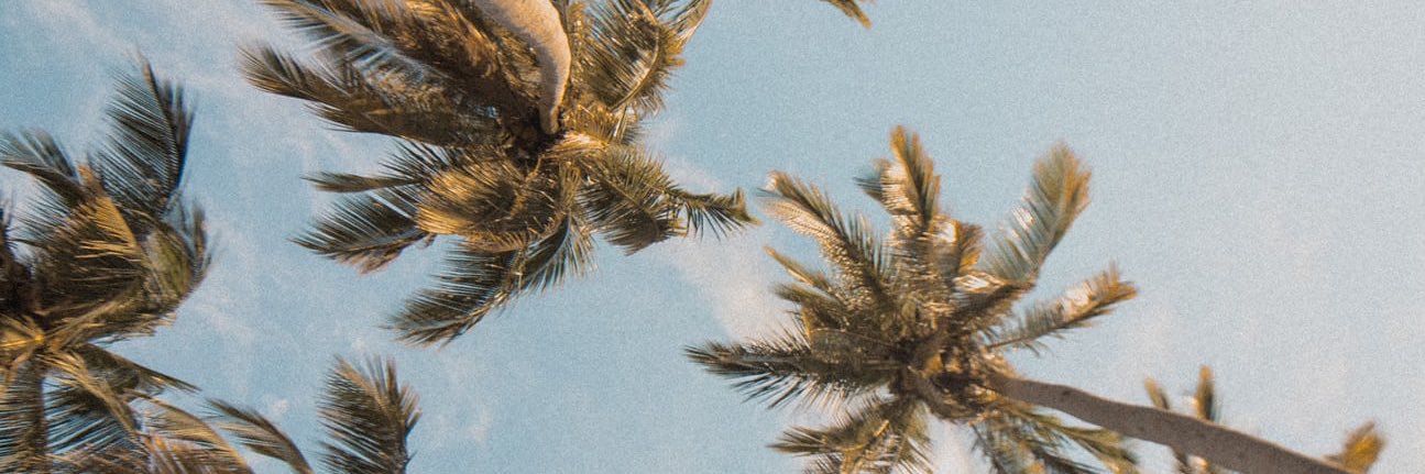 KlumppRae's profile banner image