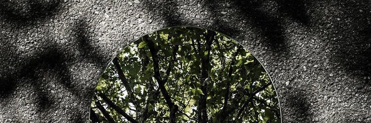 lonelynoter's profile banner image