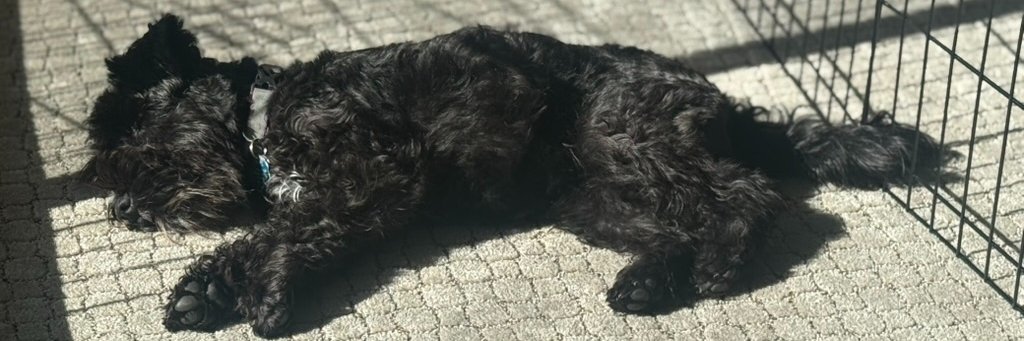 Nathan Lambert banner