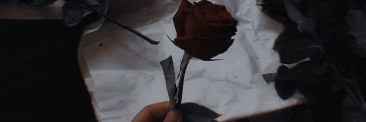 auvtomatic's profile banner image