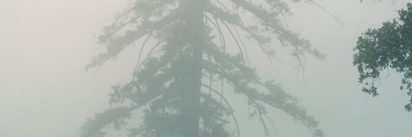 joynewell's profile banner image
