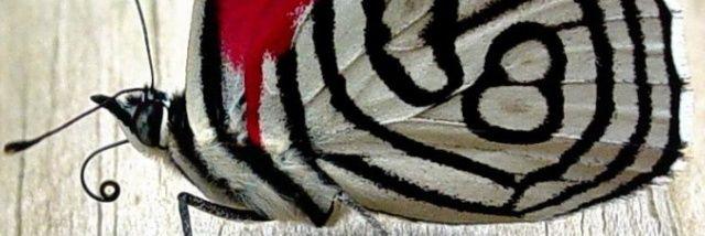 vishnu153's profile banner image