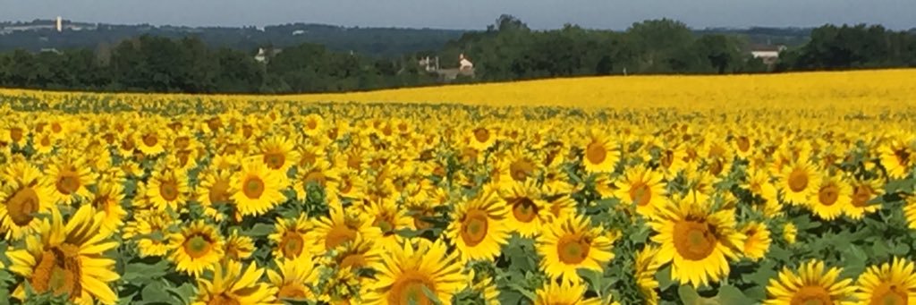 IanTranter's profile banner image