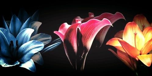 lEricZimmerman's profile banner image