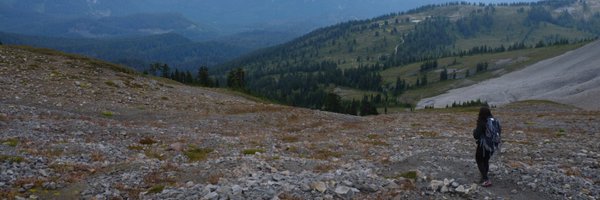 LeaTaranto Profile Banner