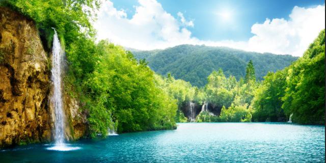 Alison Stuebe banner