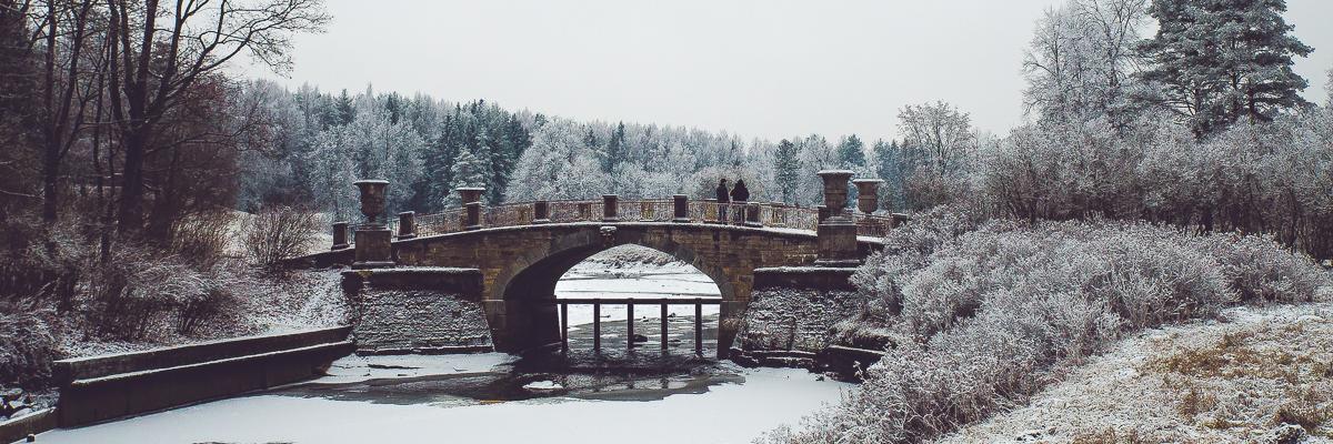 interesaradi's profile banner image