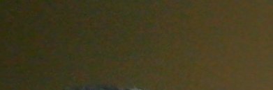 lindenbeach's profile banner image