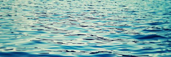 jaclynwong Profile Banner