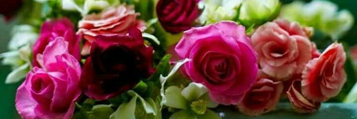 eman_Reda0's profile banner image