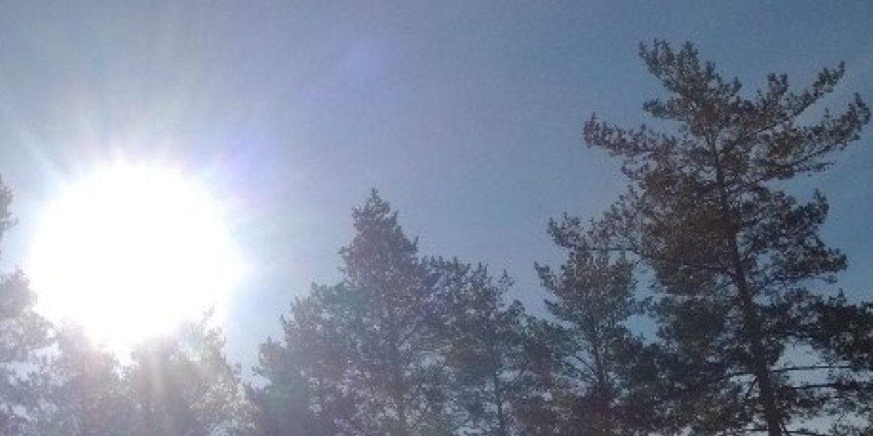 Kirsi_Toivonen's profile banner image