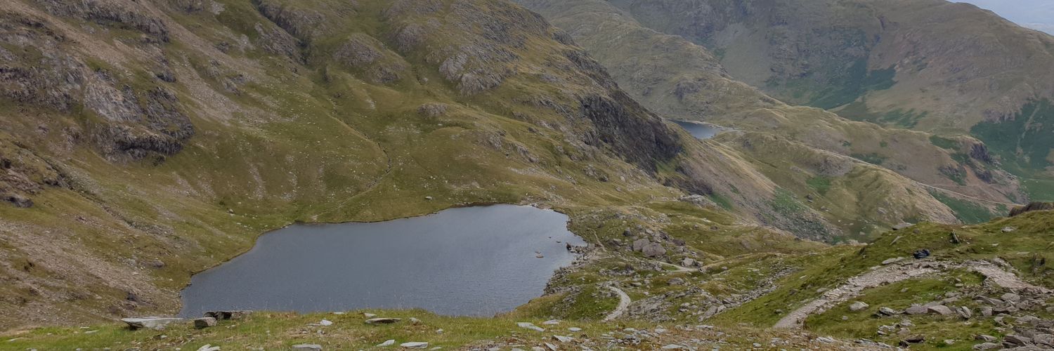 Danny Thompson banner