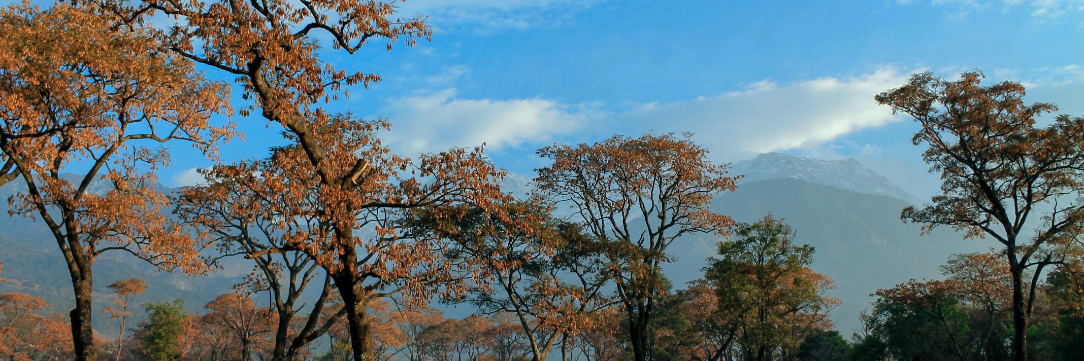 anu_rst's profile banner image