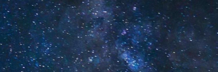thechicbirdie's profile banner image